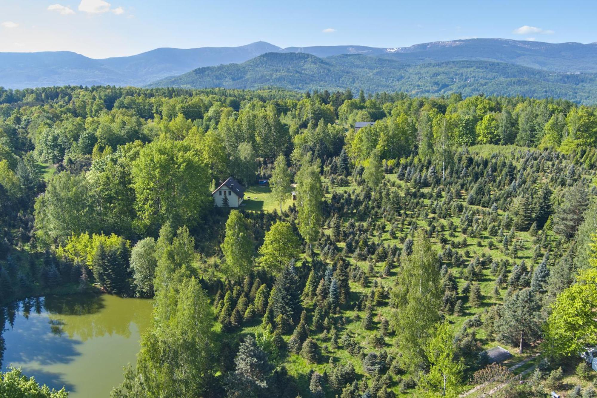 Agroturystyka - Srebrny Las Staniszow Luaran gambar